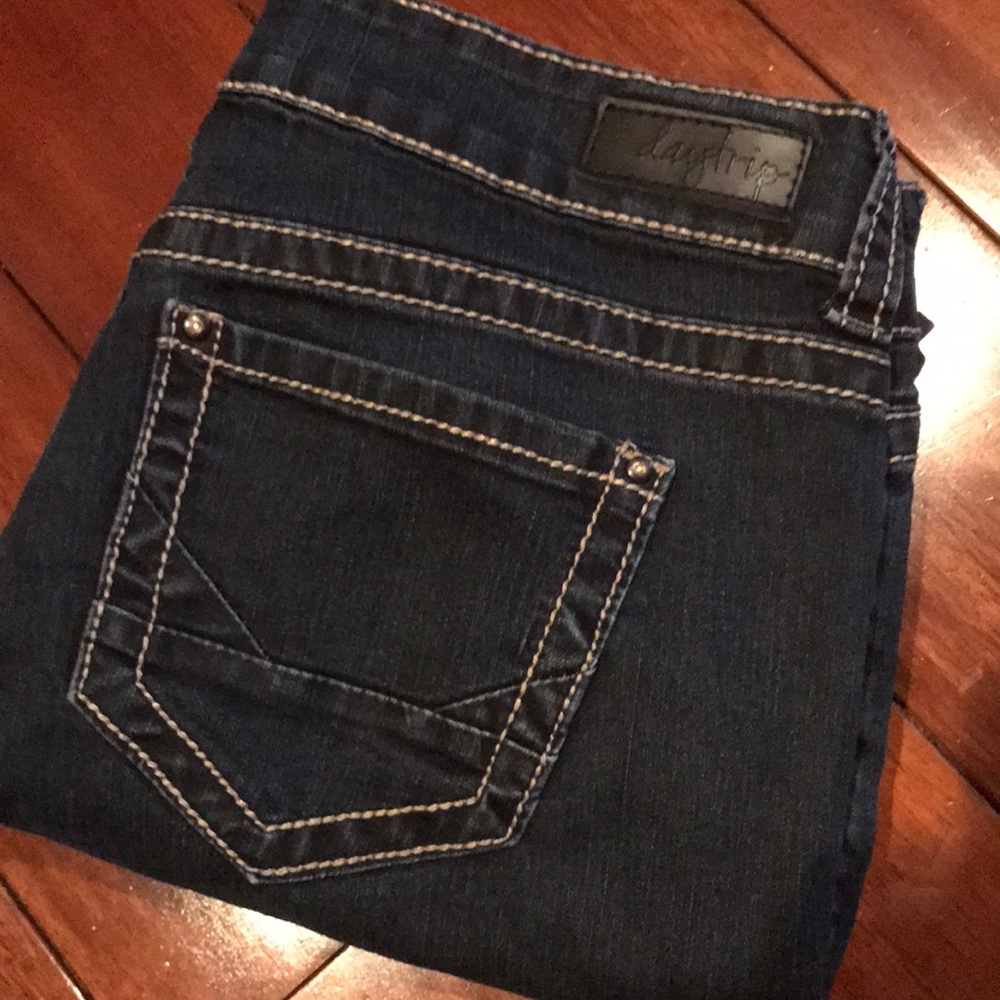 Daytrip Virgo Skinny Jeans 32R (Buckle), dark wash